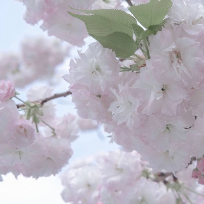 博白FurryQQ群介绍